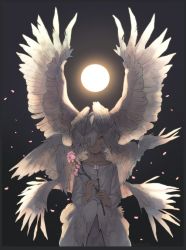 Rule 34 | 1other, androgynous, branch, cherry blossoms, closed mouth, grey eyes, head wings, holding, holding branch, looking at viewer, mullmull02, multiple wings, one eye covered, original, shirt, solo, spread wings, white shirt, white wings, wings