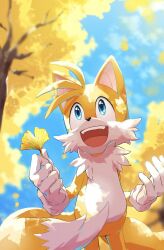 Rule 34 | 1boy, ahoge, animal ears, animal nose, autumn, blue eyes, commentary, commentary request, cowboy shot, cub, dappled sunlight, day, fox boy, fox cub, fox ears, fox tail, furry, furry male, ginkgo tree, gloves, highres, holding, holding leaf, leaf, male focus, multiple tails, open mouth, shichi shichi07, smile, sonic (series), sunlight, tail, tails (sonic), teeth, two-tone fur, two tails, upper teeth only, white fur, white gloves, yellow fur