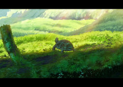 absurdres animal_focus day grass highres log moss no_humans original outdoors scenery shade sumassha_t_t tortoise turtle