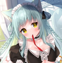 Rule 34 | 1girl, absurdres, animal ear fluff, animal ears, apron, black choker, black ribbon, blunt bangs, blush, braid, breasts, choker, cleavage, close-up, commentary request, day, eyelashes, frilled apron, frilled choker, frilled sleeves, frills, green hair, hair ribbon, head tilt, highres, indoors, irori, light rays, long hair, looking at viewer, maid, maid apron, maid headdress, medium breasts, mouth hold, original, puffy short sleeves, puffy sleeves, red ribbon, ribbon, ribbon in mouth, short sleeves, sidelighting, simple background, solo, sunbeam, sunlight, twin braids, two side up, white apron, yellow eyes