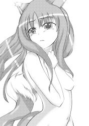 Rule 34 | 00s, 1girl, animal ears, breasts, greyscale, holo, monochrome, nude, simple background, solo, spice and wolf, tail, wolf ears, wolf tail