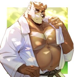 Rule 34 | 1boy, animal ears, bara, bare pectorals, bear boy, bear ears, belly, commentary request, dougi, fat, fat man, furry, furry male, highres, holding, holding towel, juuichi mikazuki, looking at viewer, male focus, martial arts belt, morenatsu, navel hair, orzero (orzero husky), pectorals, sweat, towel, towel around neck, very sweaty