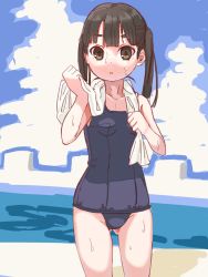Rule 34 | 1girl, black hair, brown eyes, cowboy shot, highres, long hair, one-piece swimsuit, original, school swimsuit, shinkun (natsume so), solo, swimsuit, twintails