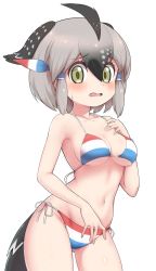 Rule 34 | 1girl, armpits, bare shoulders, bikini, bird tail, bird wings, black hair, blush, breasts, collarbone, commentary request, cowboy shot, embarrassed, furrowed brow, gluteal fold, greater roadrunner (kemono friends), grey hair, hair between eyes, hair tubes, hand on own chest, hand up, head wings, highres, kemono friends, kemono friends 2, looking at viewer, medium breasts, multicolored hair, navel, ransusan, short hair, side-tie bikini bottom, sidelocks, simple background, solo, star (symbol), stomach, swimsuit, tail, white background, wings