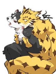 Rule 34 | 2boys, abs, animal ears, artist name, blush, claws, closed eyes, commentary request, completely nude, dog boy, dog ears, fangs, furry, furry male, highres, jaguar boy, jaguar ears, looking at another, male focus, masanori (housamo), multiple boys, muscular, muscular male, nude, ose (housamo), pectorals, saliva, shirako (kirupi), sweat, tokyo houkago summoners, tongue, tongue out, white background, yaoi