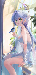 Rule 34 | 1girl, absurdres, alternate costume, bird, bird on hand, blue dress, blue hair, breasts, day, dress, earrings, feet out of frame, from side, green eyes, hair between eyes, halo, head wings, highres, honkai: star rail, honkai (series), jewel under eye, jewelry, looking at viewer, medium breasts, off shoulder, open mouth, pistachiocream, robin (honkai: star rail), side slit, sitting, solo, spaghetti strap, sunlight, wings