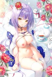 Rule 34 | 1girl, :d, absurdres, arm at side, black choker, blue cape, blush, breasts, cape, choker, collarbone, crown, cup, flower, fur-trimmed cape, fur trim, hair intakes, highres, large breasts, leaf, long hair, looking at viewer, melonbooks, mini crown, navel, nipples, non-web source, open mouth, original, oryo (oryo04), panties, plant, potted plant, purple hair, red flower, red rose, rose, saucer, short hair with long locks, side-tie panties, sidelocks, sitting, smile, snowman, solo, stomach, tea, teacup, teapot, thighhighs, underwear, untied panties, very long hair, white panties, white thighhighs, yellow eyes