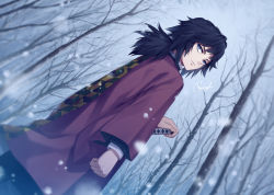 Rule 34 | 1boy, bad id, bad pixiv id, bare tree, black hair, blue eyes, clenched hand, closed mouth, commentary request, dutch angle, haori, japanese clothes, kimetsu no yaiba, long sleeves, looking back, low ponytail, male focus, outdoors, rupinesu, signature, snowing, solo, standing, sword, tomioka giyuu, tree, weapon, wide sleeves, winter