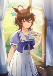 Rule 34 | 1girl, agnes tachyon (umamusume), ahoge, animal ears, blouse, bow, breasts, brown hair, closed mouth, collarbone, cup, curtains, day, earrings, hair between eyes, highres, holding, holding cup, horse ears, horse girl, horse tail, indoors, jewelry, looking at viewer, medium breasts, medium skirt, open window, pleated skirt, purple bow, purple shirt, red eyes, sailor collar, school uniform, shirt, short hair, short sleeves, skirt, solo, steam, sugar cube, tail, tamu (tamurarucaffe1226), tea, teacup, umamusume, white sailor collar, white skirt, window