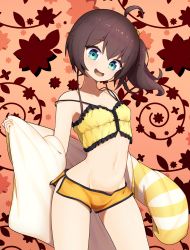 Rule 34 | 1girl, absurdres, ahoge, blue eyes, breasts, brown hair, camisole, cowboy shot, frilled camisole, frills, hair between eyes, head tilt, highres, hololive, jacket, long sleeves, looking at viewer, lunch boxer, medium hair, natsuiro matsuri, natsuiro matsuri (matsuri&#039;s day off), navel, open clothes, open jacket, open mouth, orange shorts, scrunchie, short shorts, shorts, side ponytail, small breasts, smile, solo, stomach, strap slip, striped clothes, striped jacket, thighs, translation request, virtual youtuber, white jacket, yellow camisole, yellow jacket, yellow scrunchie