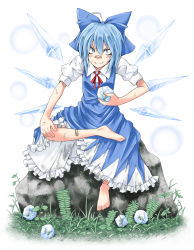 Rule 34 | 1girl, ahoge, bandaid, bandaid on face, bandaid on nose, barefoot, blue eyes, blue hair, bow, cirno, embodiment of scarlet devil, evil grin, evil smile, feet, frog, full body, grass, grin, hair bow, highres, holding, ice, ice wings, iseki mitsuharu, crossed legs, looking at viewer, matching hair/eyes, puffy short sleeves, puffy sleeves, rock, short sleeves, sitting, smile, solo, stone, touhou, wings