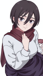 Rule 34 | 1girl, black eyes, black hair, commentary request, hand up, highres, long sleeves, looking at viewer, mikasa ackerman, nokino (nokinokin0), red scarf, scarf, shingeki no kyojin, shirt, short hair, simple background, solo, white background, white shirt