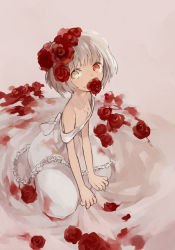 Rule 34 | 1girl, blood, blood on clothes, dress, flat chest, flower, flower in mouth, hair flower, hair ornament, heterochromia, highres, jewelry, necklace, off shoulder, original, red rose, rose, short hair, silver hair, solo, soto, white dress