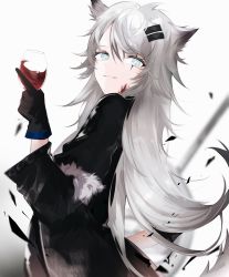 Rule 34 | 1girl, absurdres, animal ears, arknights, black coat, blood, blood on face, blue eyes, coat, cowboy shot, cup, drinking glass, from side, grey hair, gupipy, hair ornament, hairclip, highres, holding, holding cup, lappland (arknights), long hair, long sleeves, looking at viewer, parted lips, scar, scar across eye, simple background, smile, solo, tail, very long hair, white background, wine glass, wolf ears, wolf girl, wolf tail