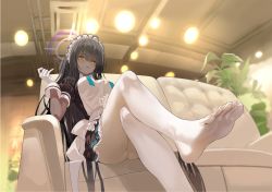 Rule 34 | 1girl, ahoge, apron, ass, black dress, black hair, blue archive, blue ribbon, blush, bow, breasts, chair, couch, crossed legs, dark-skinned female, dark skin, dress, feet, foot focus, foreshortening, frilled apron, frilled hairband, frills, from below, gloves, hair between eyes, hairband, halo, hand up, headdress, highres, indoors, karin (blue archive), large breasts, legs, long hair, looking at viewer, maid, maid apron, maid headdress, neck ribbon, no shoes, non-web source, official art, on couch, pantyhose, plant, puffy short sleeves, puffy sleeves, ribbon, short sleeves, sitting, soles, solo, toes, very long hair, white apron, white gloves, white pantyhose, yellow eyes