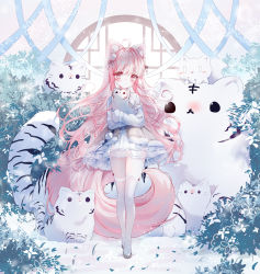 Rule 34 | 1girl, ahoge, animal, animal ear fluff, animal ears, black skirt, blue ribbon, blush, brown eyes, cat, closed mouth, commentary request, fox, fox ears, fox girl, hanbok, highres, korean clothes, long hair, looking at viewer, original, pink hair, ribbon, skirt, solo, standing, tandohark, thighhighs, tiger, very long hair, white thighhighs, white tiger