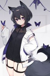 Rule 34 | 1girl, animal ears, black hair, black shirt, bug, butterfly, butterfly on hand, closed mouth, cowboy shot, expressionless, fox girl, fox tail, hand in pocket, highres, insect, jacket, long sleeves, looking at viewer, muryotaro, no pants, open clothes, open jacket, original, purple eyes, see-through, shirt, short hair, solo, tail, thigh strap, thighs, white jacket