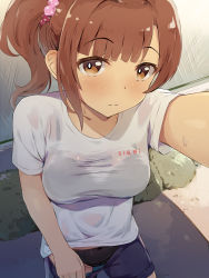 Rule 34 | 1girl, black panties, black shorts, blunt bangs, brown eyes, brown hair, closed mouth, clothes pull, commentary request, female pubic hair, highres, idolmaster, idolmaster cinderella girls, igarashi kyoko, looking at viewer, panties, ponytail, pubic hair, pulled by self, selfie, seneto, shirt, short hair, short sleeves, shorts, shorts pull, solo, standing, t-shirt, underwear, white shirt