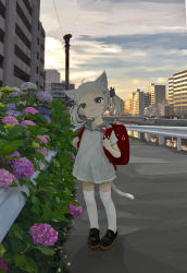 Rule 34 | 1girl, absurdres, ahoge, animal ears, apartment, backpack, badge, bag, black footwear, bow, bridge, building, cat ears, cat girl, cat tail, child, city, cloud, cloudy sky, dress, flower, frown, green bow, green eyes, grey dress, grey hair, hair bow, hair ornament, hairclip, highres, holding strap, hydrangea, leaf, looking at viewer, multicolored sky, name tag, ohgnokuni, original, outdoors, plant, power lines, randoseru, reflection, reflective water, river, sailor collar, short sleeves, sky, solo, standing, striped sleeves, sunset, tail, twintails, white legwear