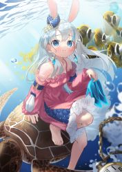 Rule 34 | 1girl, absurdres, animal ears, bare shoulders, barefoot, blue eyes, blue hair, blush, breasts, chain, closed mouth, earrings, eyebrows, fish, gradient hair, hair ornament, high heels, highres, holding, holding shoes, huge filesize, jewelry, kimyo, long hair, long sleeves, multicolored hair, original, pocket watch, rabbit ears, shoes, sitting, sleeves past wrists, small breasts, turtle, two-tone hair, underwater, watch, white hair