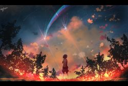 Rule 34 | 10s, 1girl, black hair, cloud, cloudy sky, comet, diffraction spikes, from behind, highres, kimi no na wa., letterboxed, miyamizu mitsuha, nani kore (wjstpwls4), scenery, short hair, sky, solo, star (sky), starry sky, tree, twilight