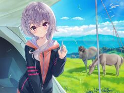 1girl bird blue_sky blush braid cloud day field flock grass grey_hair highres holding hood hoodie horse long_hair looking_at_viewer maitetsu mountainous_horizon nako_(rail_romanesque) official_art outdoors purple_eyes rail_romanesque sky smile solo taue_shunsuke tent wind