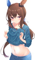 Rule 34 | absurdres, admire vega (umamusume), alternate costume, animal ears, blush, breasts, brown hair, collarbone, commentary request, hair between eyes, highres, horse ears, horse girl, lifting own clothes, looking at viewer, medium breasts, midriff, navel, ponytail, purple eyes, simple background, umamusume, white background, zeatto