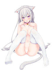 Rule 34 | 1girl, absurdres, animal ears, anus, bar censor, bell, blush, breasts, cameltoe, cat ears, cat lingerie, cat tail, censored, collar, collarbone, echiru39, emilia (re:zero), feet, grey hair, highres, kemonomimi mode, knees together feet apart, long hair, looking at viewer, medium breasts, meme attire, navel, neck bell, no shoes, nude, parted lips, paw pose, purple collar, purple eyes, pussy, re:zero kara hajimeru isekai seikatsu, simple background, sitting, solo, tail, thighhighs, underwear, very long hair, white background, white thighhighs