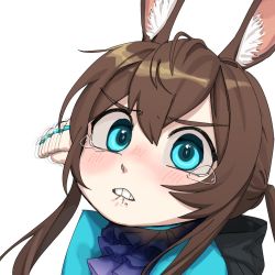 Rule 34 | 1girl, amiya (arknights), animal ear fluff, animal ears, arknights, blue eyes, blush, brown hair, clenched hand, commentary request, crying, crying with eyes open, hair between eyes, head tilt, incoming attack, incoming punch, korean commentary, long hair, looking at viewer, portrait, punching, rabbit ears, sidelocks, simple background, solo, tears, white background, yeougogi