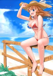 Rule 34 | 1girl, american flag bikini, american flag print, arm support, bare shoulders, barefoot, beach, between legs, bikini, blue eyes, breasts, charlotte e. yeager, cleavage, cloud, cloudy sky, collarbone, fence, flag print, from side, full body, hand between legs, hat, highres, hiroshi (hunter-of-kct), holding, holding clothes, holding hat, large breasts, long hair, looking at viewer, navel, ocean, open mouth, orange hair, outdoors, print bikini, shirley (manga), side-tie bikini bottom, sideways glance, signature, sitting, sitting on fence, sky, smile, straw hat, strike witches, swimsuit, thighs, twitter username, underboob, water, wind, wind lift, world witches series
