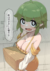 Rule 34 | 1girl, ahoge, areola slip, black eyes, blush, borrowed character, box, breasts, bright pupils, cleavage, commentary request, cowboy shot, detached sleeves, dress, fang, fuka (kantoku), green hair, highres, holding, holding box, large breasts, looking at viewer, medium bangs, open mouth, original, pointy ears, short hair, skin fang, slit pupils, smile, solo, translation request, white pupils, white sleeves, wooden box, yellow dress