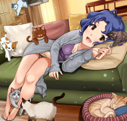 Rule 34 | 1girl, :d, absurdres, antenna hair, bad id, bad twitter id, bare legs, barefoot, beige skirt, blue hair, breasts, brown eyes, calico, cat, cat teaser, chair, cleavage, closed eyes, couch, curtains, grey robe, hanamasa ono, highres, idolmaster, idolmaster million live!, indoors, jewelry, lavender panties, light blush, light particles, long sleeves, looking at viewer, lying, medium breasts, necklace, on couch, on side, open mouth, panties, pantyshot, parted bangs, pet bed, pillow, platform, purple shirt, robe, shirt, short hair, siamese cat, skirt, sleeping, smile, tabby cat, table, thick eyebrows, toyokawa fuka, underwear