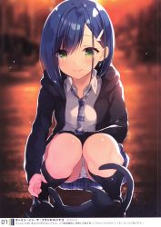 Rule 34 | 1girl, absurdres, animal, backlighting, black cat, black jacket, blue hair, blue skirt, blurry, blurry background, blush, cat, closed mouth, collared shirt, darling in the franxx, depth of field, green eyes, hair ornament, hairclip, highres, hood, hood down, hooded jacket, ichigo (darling in the franxx), jacket, long sleeves, looking at viewer, miniskirt, necktie, open clothes, open jacket, outdoors, panties, pantyshot, pleated skirt, sazaki ichiri, scan, shirt, short hair, skirt, smile, solo, squatting, underwear, white panties, white shirt