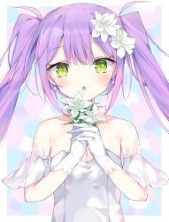 Rule 34 | 1girl, absurdres, blush, collarbone, dress, earrings, flower, framed, gloves, highres, holding, holding flower, hololive, jewelry, long hair, looking at viewer, multicolored hair, purple hair, shigureszku, streaked hair, tokoyami towa, twintails, upper body, virtual youtuber, white dress, white flower, white gloves