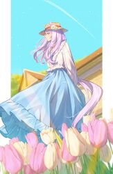 Rule 34 | 1girl, absurdres, animal ears, arms behind back, blue dress, border, choker, contrail, dress, ear flower, ears through headwear, floating clothes, floating hair, flower, frilled dress, frills, hat, highres, horse ears, horse girl, horse tail, house, implied yuri, isana615, jacket, long hair, long sleeves, looking at another, mejiro mcqueen (umamusume), outside border, pillarboxed, pink flower, pink tulip, purple eyes, purple hair, smile, solo, sun hat, swept bangs, tail, tulip, umamusume, white border, white choker, white jacket, yellow flower, yellow tulip