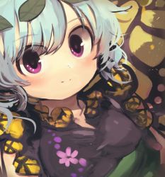 Rule 34 | 1girl, aqua hair, blush, butterfly wings, closed mouth, dress, eternity larva, fairy, green dress, hair between eyes, highres, insect wings, leaf, leaf on head, multicolored clothes, multicolored dress, piaki, purple eyes, short hair, short sleeves, smile, solo, touhou, upper body, wings
