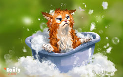 Rule 34 | animal, animal focus, artist name, bath, blue eyes, blurry, blurry background, bubble, cat, closed mouth, commentary, concept art, english commentary, frown, highres, kaiify, landscape, no humans, original, soap bubbles, wet
