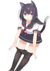 Rule 34 | 1girl, animal ears, benio (dontsugel), bent over, cat ears, cat tail, clothes pull, highres, nmaaaaa, original, pantyhose, pantyhose pull, purple eyes, school uniform, serafuku, short hair, simple background, skirt, solo, tail, white background