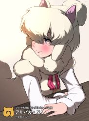 Rule 34 | 10s, 1girl, alpaca ears, alpaca suri (kemono friends), alpaca tail, animal ears, blue eyes, blush, character name, counter, hair over one eye, highres, japari symbol, kemono friends, leaning forward, long sleeves, looking to the side, mityubi, simple background, smile, solo, tail, text focus, white background, white hair