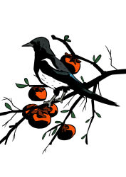 Rule 34 | bird, branch, commentary, english commentary, food, fruit, headaxe4862, korean commentary, magpie, mixed-language commentary, no humans, original, persimmon, simple background, white background