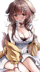 Rule 34 | 1girl, animal ears, bare shoulders, black bra, blush, bone hair ornament, bra, braid, breasts, brown eyes, brown hair, cleavage, collar, collarbone, commentary request, dog ears, dog girl, dog tail, dress, hair between eyes, hair ornament, hairclip, heavy breathing, highres, hololive, inugami korone, inugami korone (1st costume), jacket, large breasts, long hair, looking at viewer, off shoulder, open mouth, sak (lemondisk), simple background, sitting, smile, solo, sweat, tail, twin braids, underwear, virtual youtuber, white background, white dress, yellow jacket