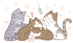 Rule 34 | !, :3, = =, animal, animal ear fluff, animal focus, cat, cat day, cat teaser, closed mouth, commentary request, drooling, closed eyes, floral background, no humans, o o, original, sakurato ototo shizuku, saliva, translation request, white background