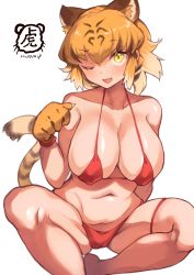 Rule 34 | 1girl, absurdres, animal ears, animal hands, bikini, blonde hair, breasts, cleft of venus, fang, gloves, highres, iparupua, kemono friends, large breasts, micro bikini, open mouth, paw gloves, red bikini, short hair, simple background, skin fang, slit pupils, solo, spread legs, squatting, swimsuit, tail, tiger (kemono friends), tiger ears, tiger girl, tiger tail, white background, yellow eyes