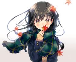 Rule 34 | 1girl, autumn leaves, blue jacket, blue scarf, blush, brown hair, green eyes, green scarf, jacket, kuga tsukasa, leaf, long hair, looking at viewer, maple leaf, messy hair, original, scarf, simple background, solo, uniform, upper body, white background