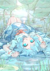 Rule 34 | 1girl, :d, absurdres, arms up, blue bow, blue dress, blue eyes, blue hair, bow, breasts, cirno, commentary request, dress, frog, grass, hair bow, happy, hatut, highres, horizon, ice, ice wings, knees up, lily pad, looking at viewer, looking to the side, lying, on back, open mouth, outdoors, pinafore dress, puffy short sleeves, puffy sleeves, short sleeves, sleeveless, sleeveless dress, small breasts, smile, solo, touhou, upside-down, water, wings