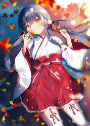 Rule 34 | 1girl, absurdres, autumn leaves, black hair, blush, bow, brown eyes, closed mouth, commentary request, frilled hakama, hair bow, hakama, hakama short skirt, hakama skirt, highres, holding, holding leaf, japanese clothes, kimono, leaf, long hair, long sleeves, looking at viewer, low twintails, lying, maple leaf, miko, on back, original, red bow, red hakama, ribbon-trimmed sleeves, ribbon trim, shallow water, shiino sera, skirt, solo, thighhighs, twintails, very long hair, water, white kimono, white thighhighs, wide sleeves