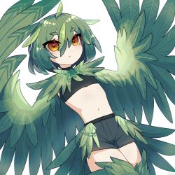 Rule 34 | 1boy, bird legs, black shorts, chello, feathered wings, feathers, green feathers, green hair, green wings, hair between eyes, harpy boy, highres, male focus, midriff, monster boy, navel, original, shorts, simple background, white background, winged arms, wings, yellow eyes