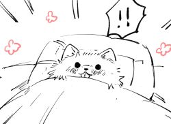 Rule 34 | !, !!, :p, animal, blanket, cat, emphasis lines, grey theme, highres, looking at viewer, mito (go!go!king!), monochrome, no humans, original, pillow, solid circle eyes, spot color, tongue, tongue out, under covers