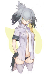 Rule 34 | 10s, 1girl, bird tail, bird wings, black gloves, black panties, blouse, clothes pull, cowboy shot, fingerless gloves, gloves, goekawa, grey shirt, hand on own hip, head wings, kemono friends, long hair, looking at viewer, low ponytail, multicolored hair, necktie, open clothes, open shirt, orange hair, panties, pants, pants pull, shirt, shoebill (kemono friends), short sleeves, side ponytail, silver hair, silver necktie, silver shirt, solo, tail, underwear, white necktie, wings, yellow eyes