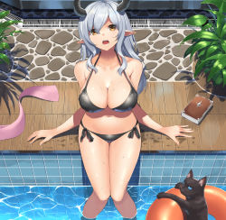 Rule 34 | 1girl, absurdres, bikini, black bikini, breasts, cat, collarbone, from above, highres, horns, innertube, large breasts, long hair, looking at viewer, navel, open mouth, original, plant, pointy ears, pool, poolside, potted plant, side-tie bikini bottom, silver hair, sitting, soaking feet, solo, suiroh (shideoukami), swim ring, swimsuit, water, wet, yellow eyes